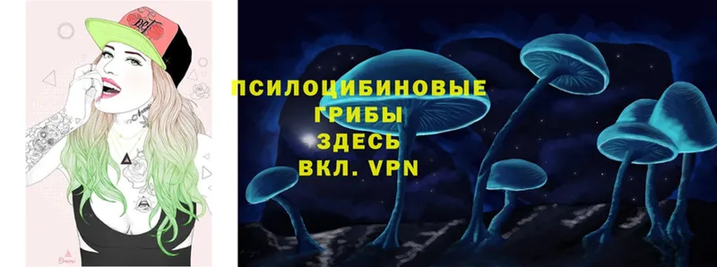 Псилоцибиновые грибы прущие грибы  наркошоп  Велиж 